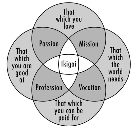 Ikigai | Goals & Lifestyle | Doctor Spin